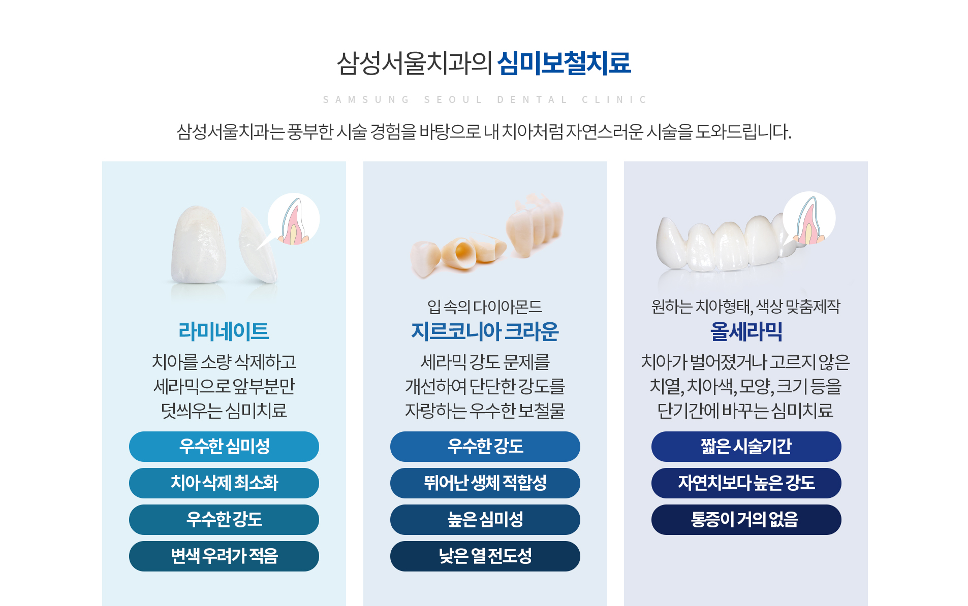 심미보철치료