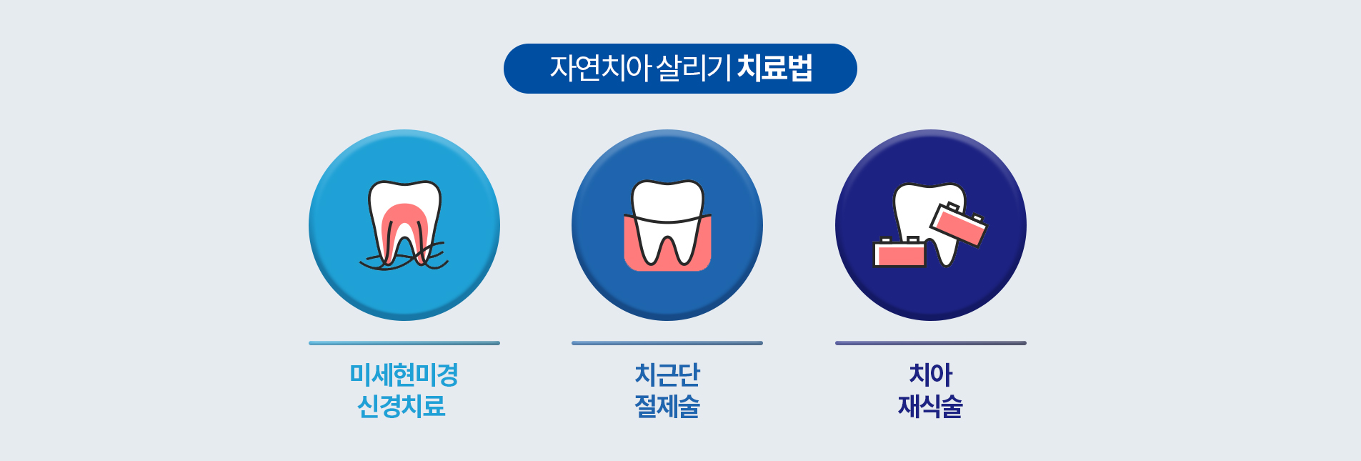 자연치아 살리기 치료법